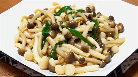 蘑菇視頻 - 美食制作教程